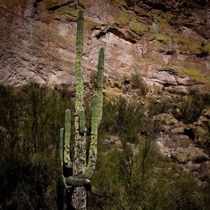 Meet your Posher, Deanna